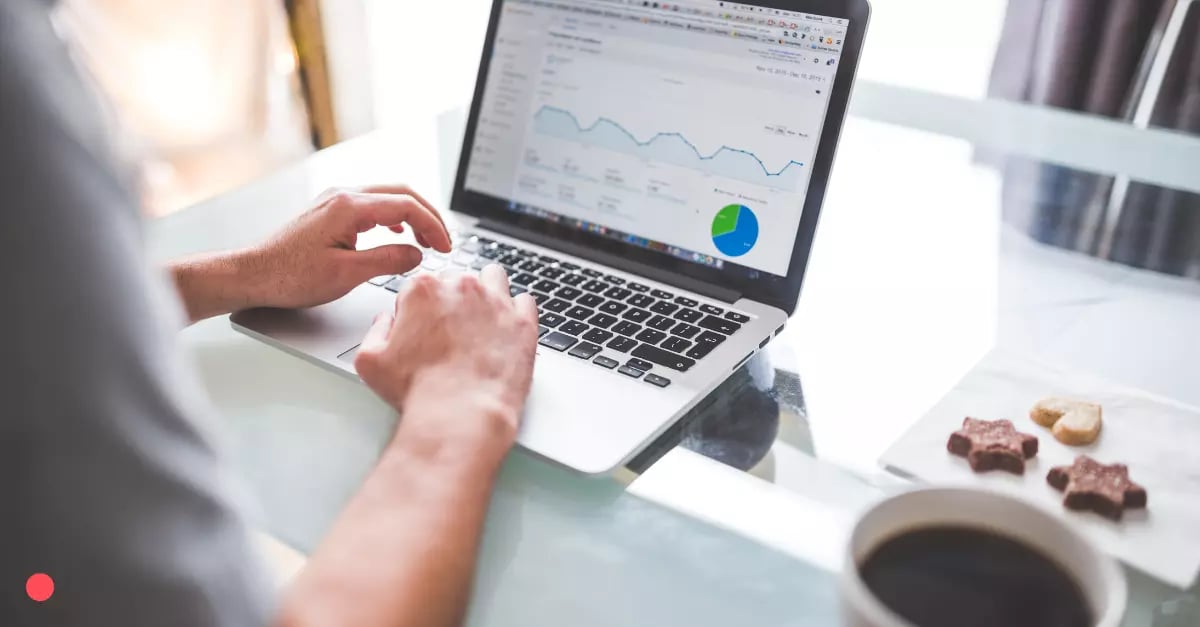 Expert SEO management services to elevate your brand