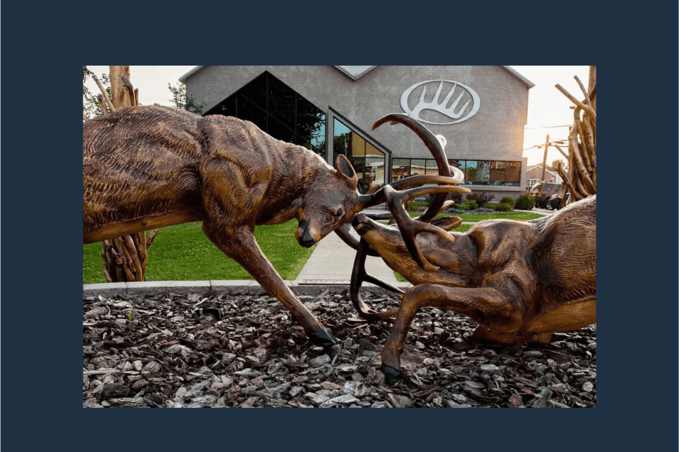 Whitetail Properties Case Study